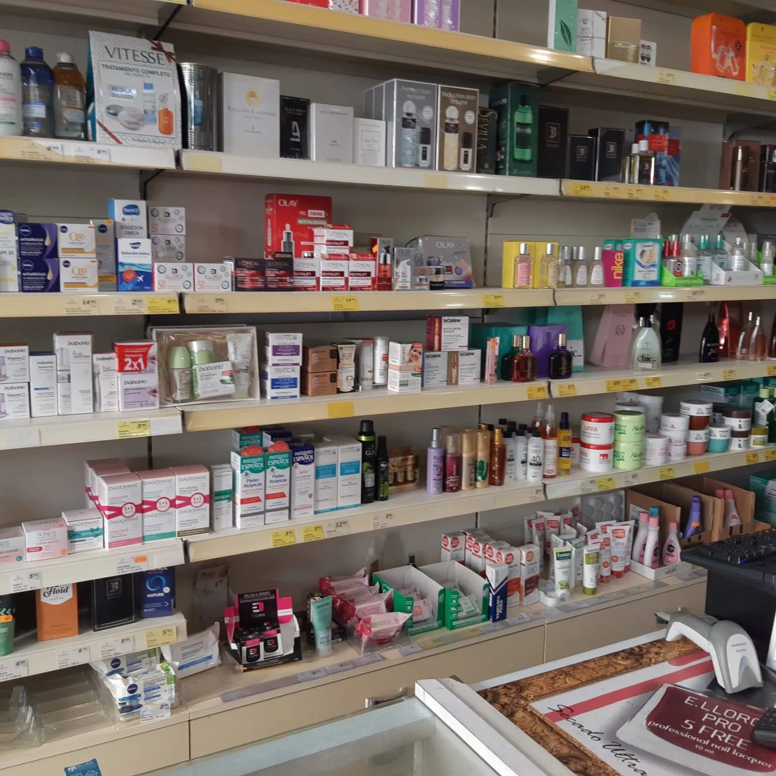 msotrador